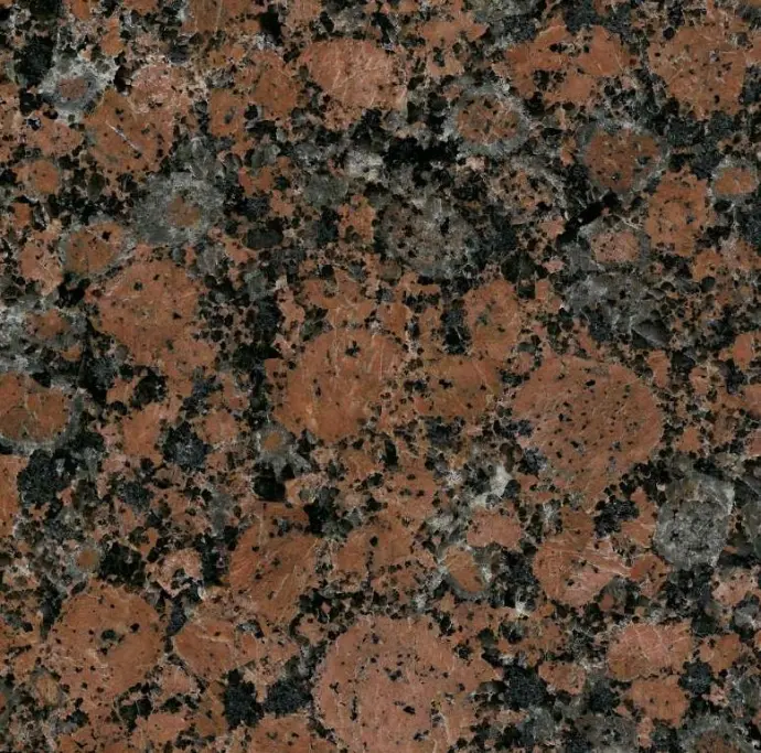 BALTIC ROT